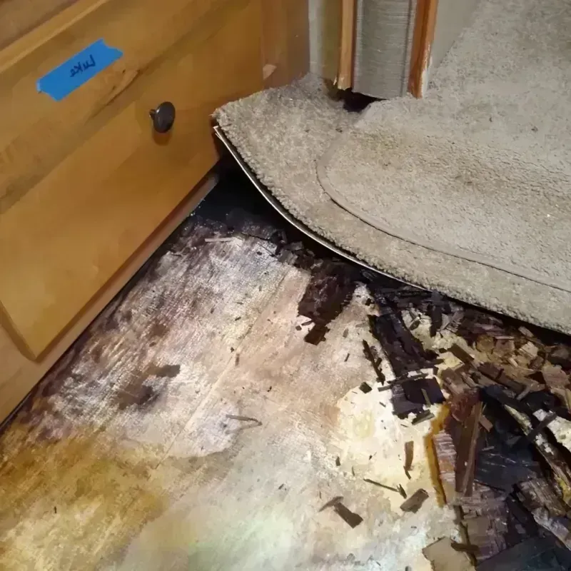 Best Wood Floor Water Damage Service in Knoxville, TN